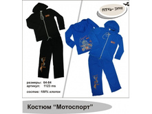 ������������ ���. ��������� �������� ����.