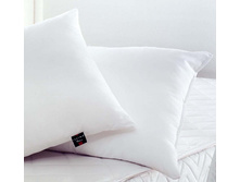ALOE VERA NANO PILLOW, 50�70, ���� ���� ����-�������, 100%����-�������, 100%�����������, 650�