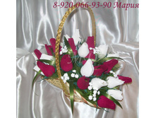 100_0304.JPG