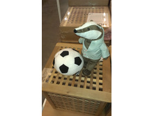 imag005621.jpg
