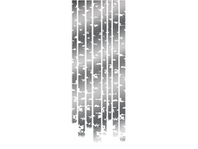 1731-�.jpg