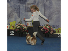1-IMG_8894.JPG