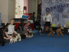 1-IMG_8897.JPG