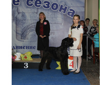 1-IMG_8907.JPG