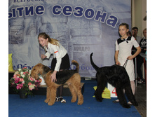 1-IMG_8909.JPG