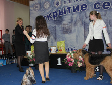 1-IMG_8911.JPG