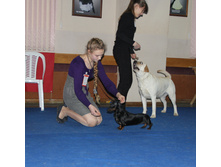 1-IMG_8927.JPG