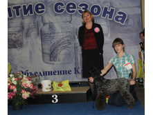 1-IMG_8932.JPG