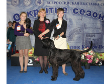 1-IMG_8939.JPG
