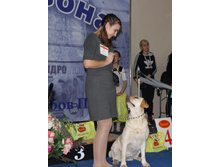 1-IMG_8940.JPG