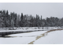 DSC_0108_DxO_raw.jpg