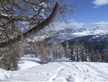 DSCF1680.JPG