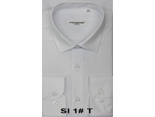 ������� S-1T.jpg