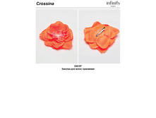 Crossina ________ _________.jpg