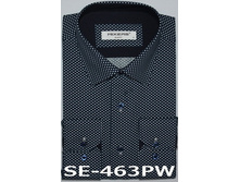 ������ SE- 463PW.jpg