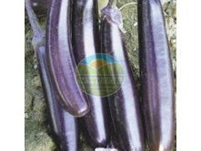 ������ �� �������� ������ ����� F1 (35 ��)_16,32 ���