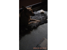19.02.2014 0:18:09