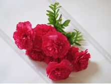 40 ���