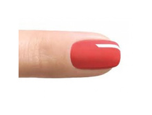 Shellac Tropix.jpeg