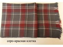 NS002 600���.JPG
