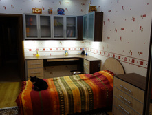 DSC00029.JPG