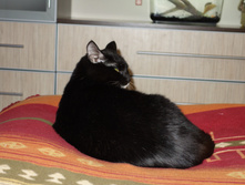 DSC00033.JPG