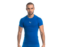 ��������, Puma