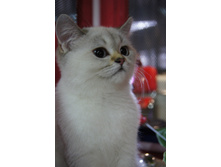 dsc01724.JPG
