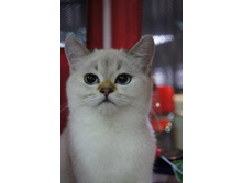 dsc01725.JPG