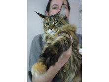 dsc01730.JPG
