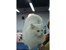 dsc01757.JPG