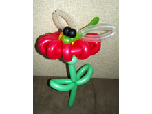 DSCF3078.JPG