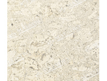 Rondo 054  ���� 23,5 ����