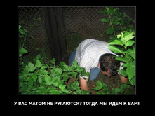 21.05.2010 12:04:41