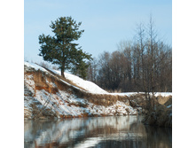_A172056.jpg