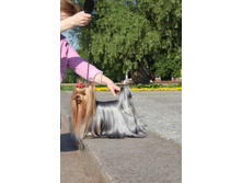 IMG_1031.JPG