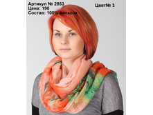 2853_oranzh_2.jpg