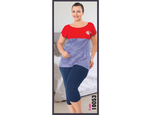 10053.png