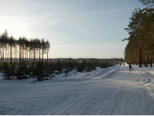 DSCN4815.JPG