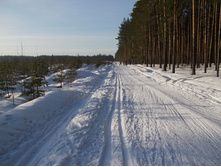DSCN4817.JPG