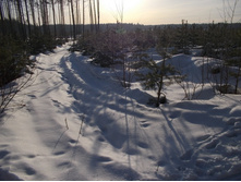 DSCN4818.JPG
