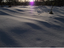 DSCN4821.JPG