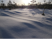DSCN4822.JPG