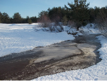 DSCN4826.JPG