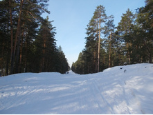 DSCN4828.JPG