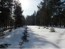 DSCN4837.JPG