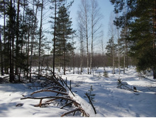 DSCN4838.JPG