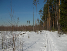 DSCN4843.JPG