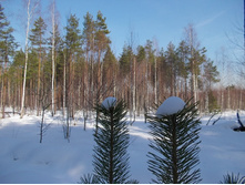 DSCN4845.JPG