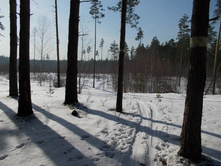 DSCN4847.JPG